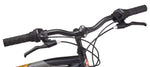Charger l&#39;image dans la visionneuse de galerie, Schwinn High Timber AL pour adulte
