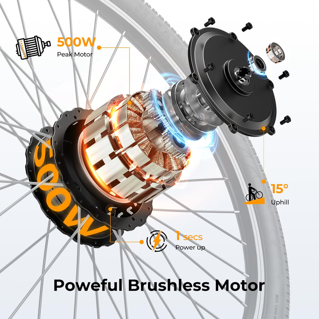 Jasion EB5 avec Crête 500W Brushless • 500W 20 km/h 40 km