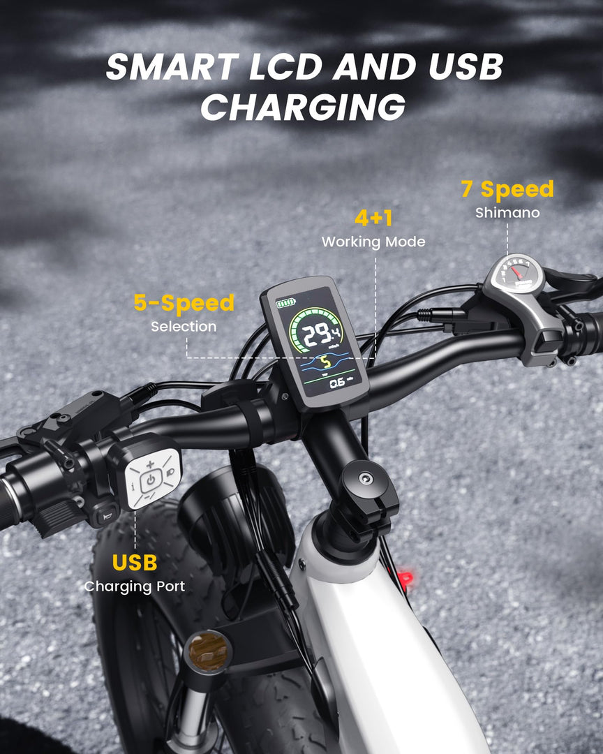 CYCROWN 1500W Crête City Cruiser 48V • Pneu Grand Cadre Bas…